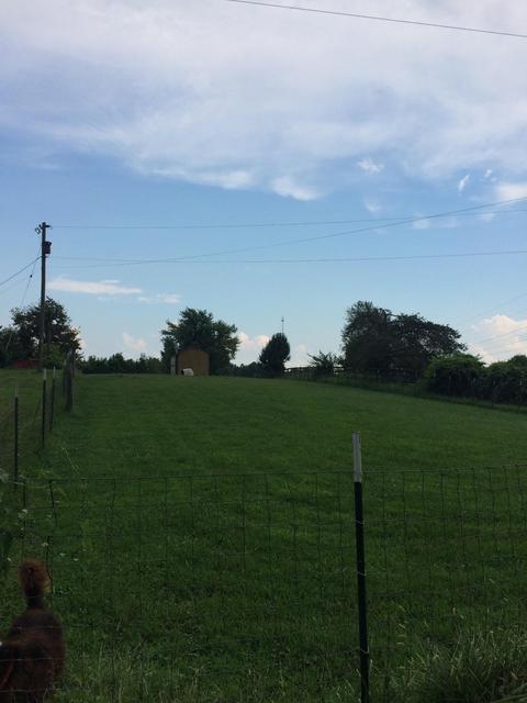 686 Buckeye Rd, Lancaster, KY 40444 photo 17