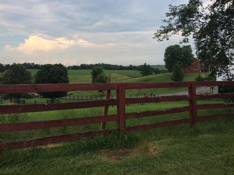 686 Buckeye Rd, Lancaster, KY 40444 photo 11