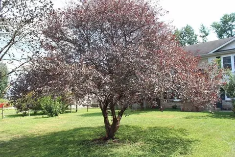 111 Rainbow Ct, Berea, KY 40403 photo 24