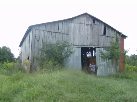1175 Hammonds Rd, Ewing, KY 41039 photo 12