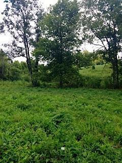 124 Sable Dr, Georgetown, KY 40324 photo 7