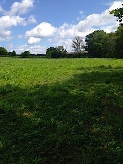 124 Sable Dr, Georgetown, KY 40324 photo 1