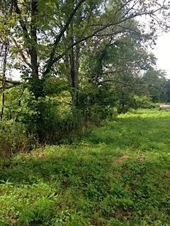 124 Sable Dr, Georgetown, KY 40324 photo 6