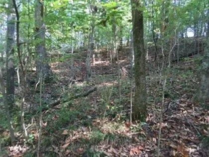 290 Trails End, Lancaster, KY 40444 photo 7