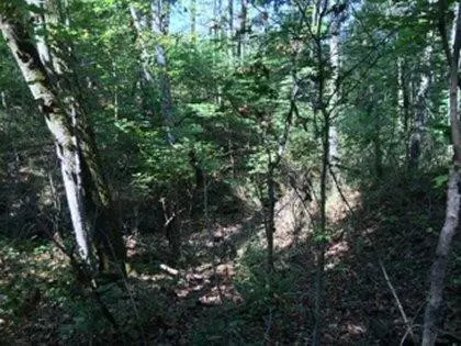 290 Trails End, Lancaster, KY 40444 photo 11