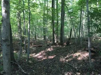 290 Trails End, Lancaster, KY 40444 photo 8
