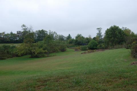 160 Soards Rd, Georgetown, KY 40324 photo 14