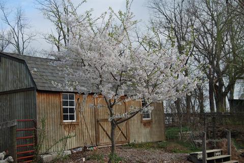160 Soards Rd, Georgetown, KY 40324 photo 21