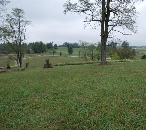 160 Soards Rd, Georgetown, KY 40324 photo 43