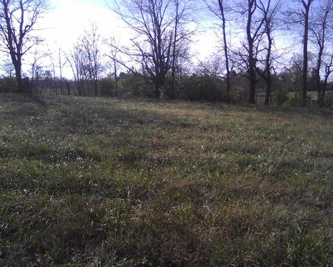 144 Grable Ln, Georgetown, KY 40324 photo 1