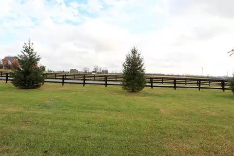 101 Cold Spring Ln, Midway, KY 40347 photo 8