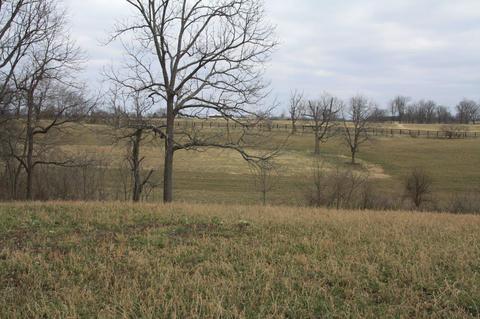 6344 Paris Pike, Georgetown, KY 40324 photo 20