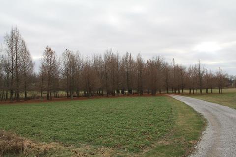 6344 Paris Pike, Georgetown, KY 40324 photo 16