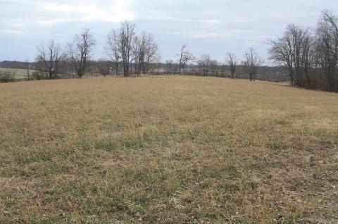 6344 Paris Pike, Georgetown, KY 40324 photo 18