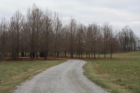 6344 Paris Pike, Georgetown, KY 40324 photo 13