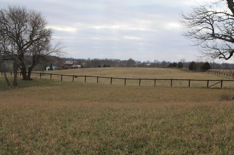 6344 Paris Pike, Georgetown, KY 40324 photo 19