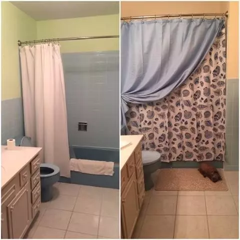 1233 Knapp Ave, Morehead, KY 40351 photo 28