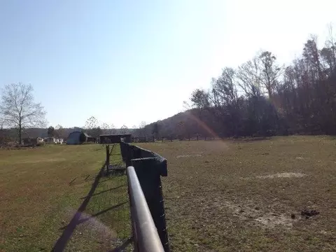 1027 Flat Gap Rd, Berea, KY 40403 photo 3