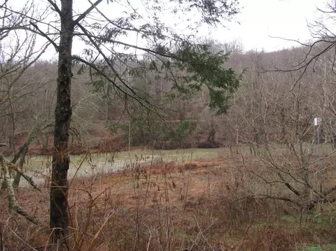 8325 Highland Rd, Jackson, KY 41339 photo 27