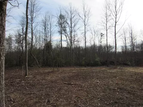195 Lane Rd, Corbin, KY 40701 photo 14