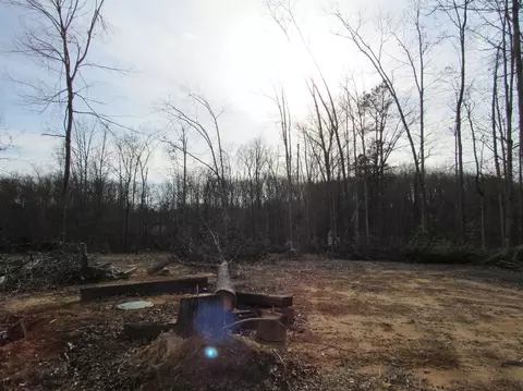 195 Lane Rd, Corbin, KY 40701 photo 9