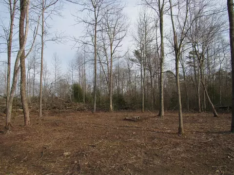 195 Lane Rd, Corbin, KY 40701 photo 1