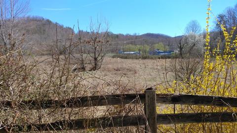 740 Pecks Rd, Stanton, KY 40380 photo 8