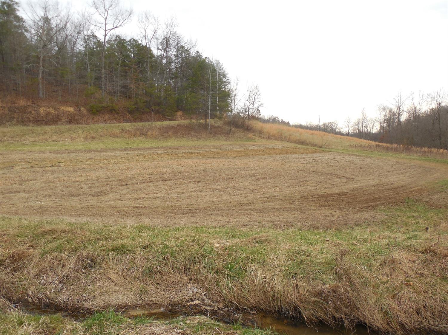 1402 Leger Fork Rd, Tyner, KY 40486 photo 21