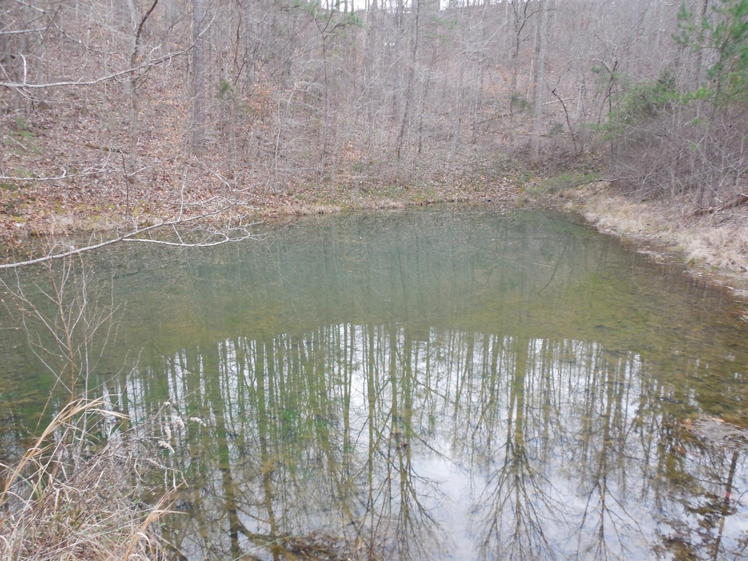 1402 Leger Fork Rd, Tyner, KY 40486 photo 17