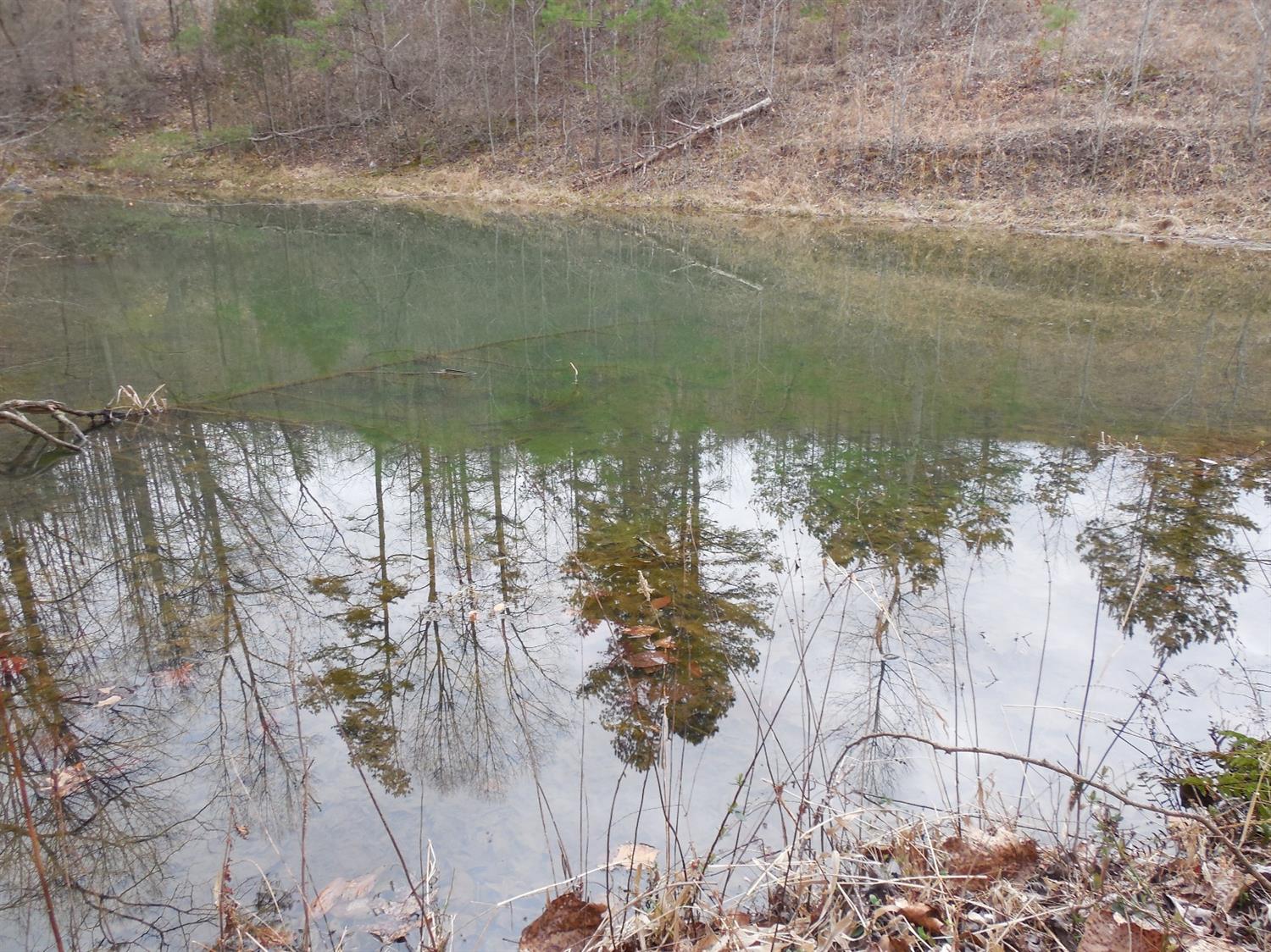 1402 Leger Fork Rd, Tyner, KY 40486 photo 16
