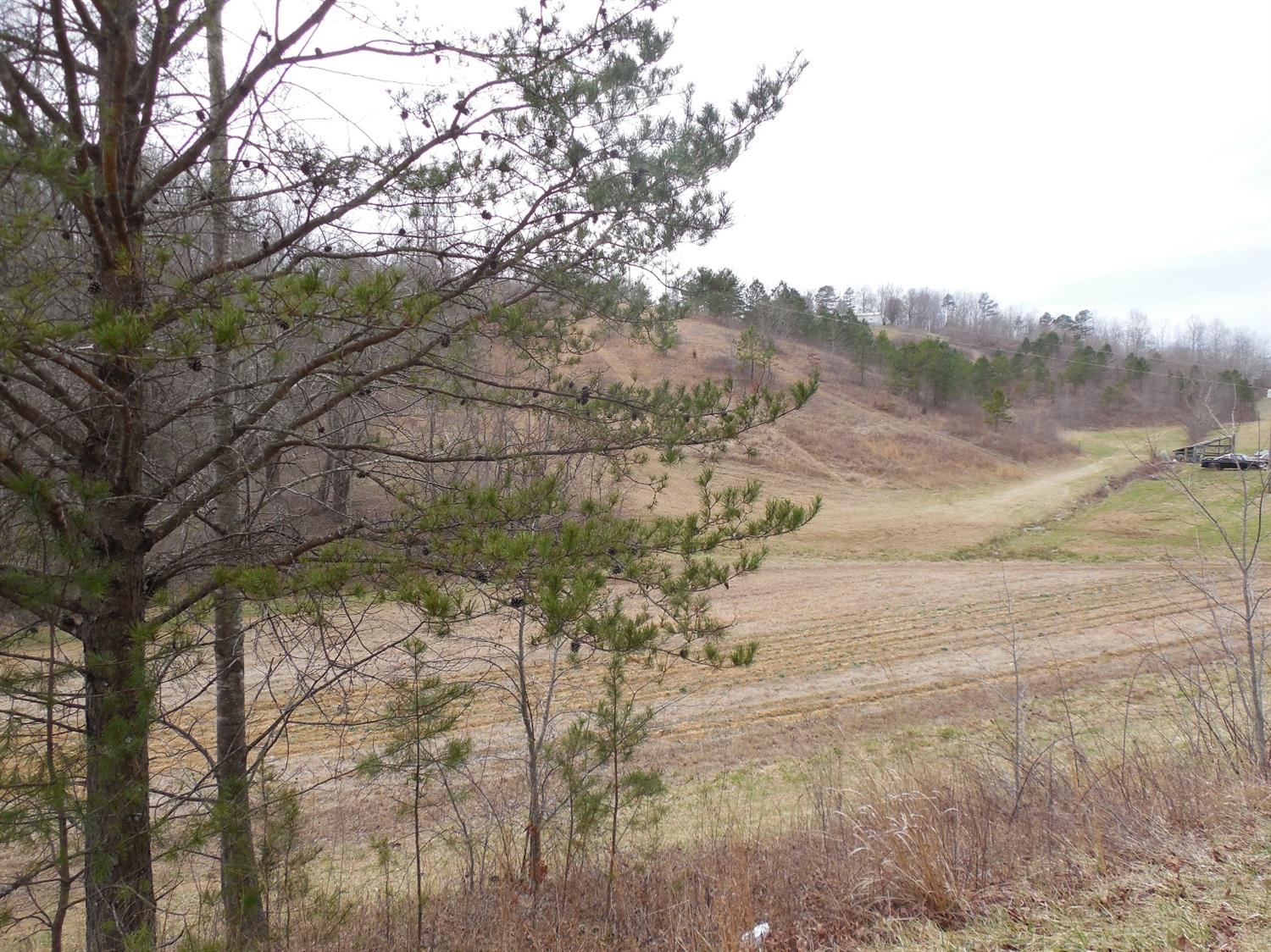 1402 Leger Fork Rd, Tyner, KY 40486 photo 24