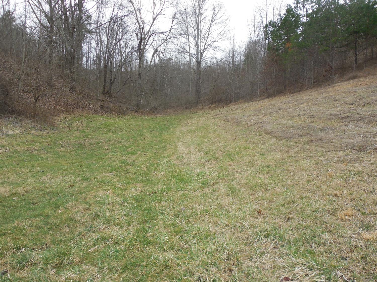 1402 Leger Fork Rd, Tyner, KY 40486 photo 27