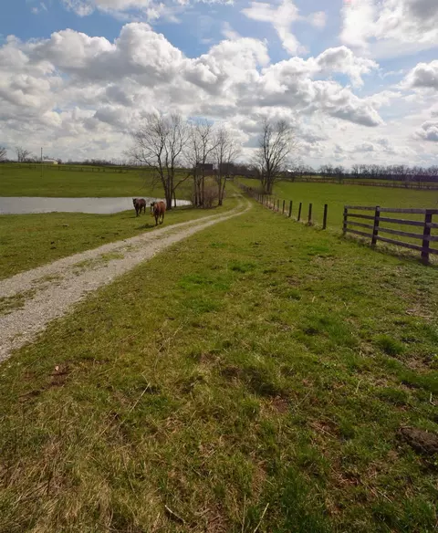 152 Grable Ln, Georgetown, KY 40324 photo 11