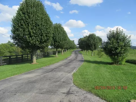 1605 Rosedale Rd, Morehead, KY 40351 photo 23