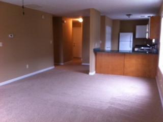 137 River Run Ct, Georgetown, KY 40324 photo 3