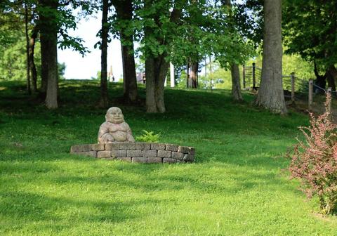 108 Sheldrake Ct, Georgetown, KY 40324 photo 7