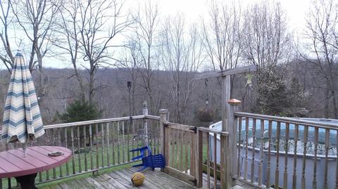 449 Bailey Rd, Georgetown, KY 40324 photo 18