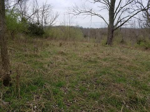 683 Rogers Gap, Georgetown, KY 40324 photo 2