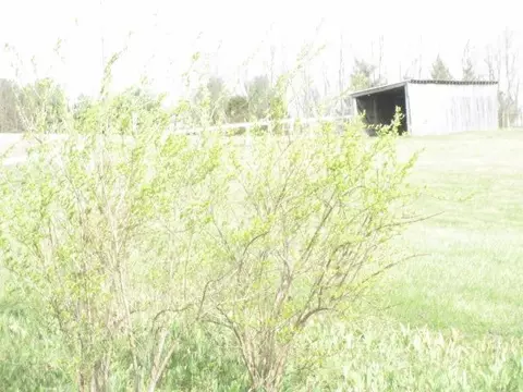 358 Settlement Dr, Lancaster, KY 40444 photo 52