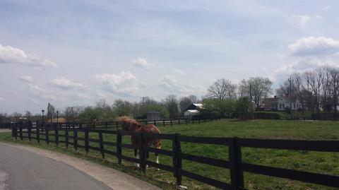 104 Wild Turkey Path, Georgetown, KY 40324 photo 5