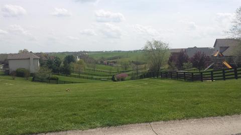 104 Wild Turkey Path, Georgetown, KY 40324 photo 9