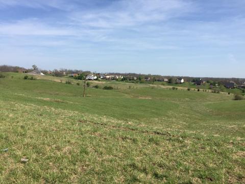 102 Overlook Pass, Georgetown, KY 40324 photo 26