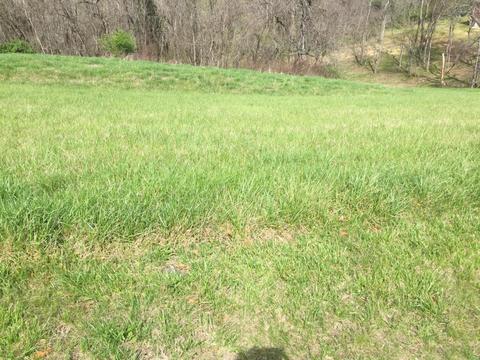 102 Overlook Pass, Georgetown, KY 40324 photo 4