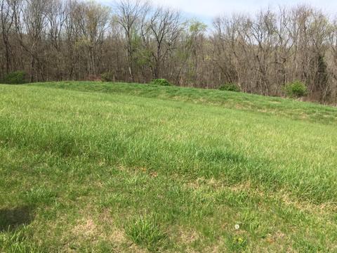 102 Overlook Pass, Georgetown, KY 40324 photo 1