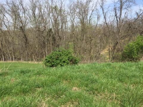102 Overlook Pass, Georgetown, KY 40324 photo 3