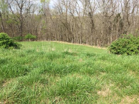 102 Overlook Pass, Georgetown, KY 40324 photo 2