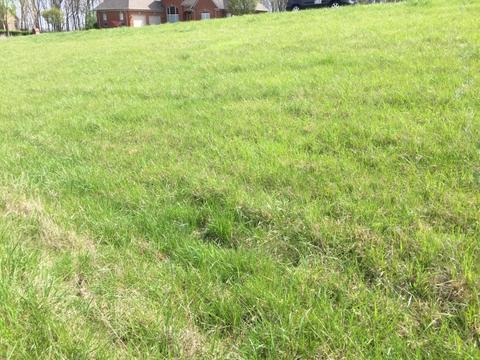 102 Overlook Pass, Georgetown, KY 40324 photo 5