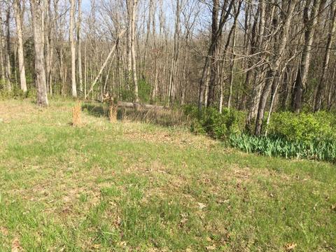 105 Bob White Path, Georgetown, KY 40324 photo 1