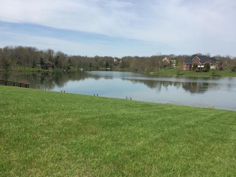 105 Bob White Path, Georgetown, KY 40324 photo 15