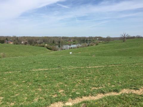 105 Bob White Path, Georgetown, KY 40324 photo 8